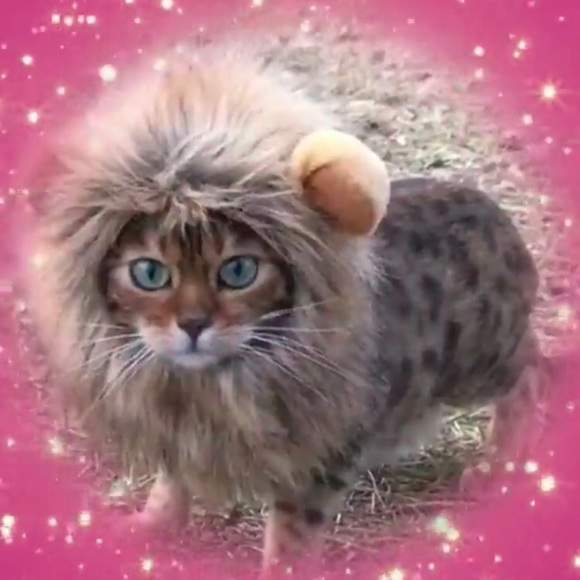 Meet your Posher, Mise - Picture 1 of 1